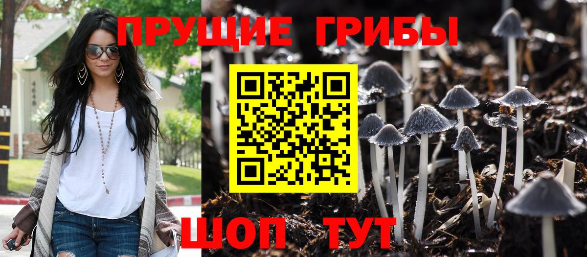 хочу наркоту  Вход с VPN  Кандалакша  Псилоцибиновые грибы Psilocybe 